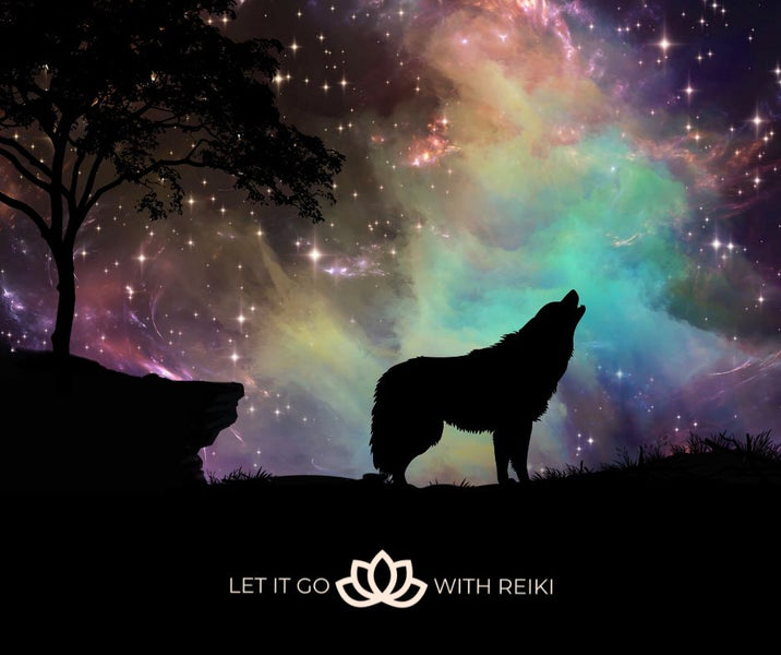 Animal Symbols: The Universe's Messages in the World of Reiki