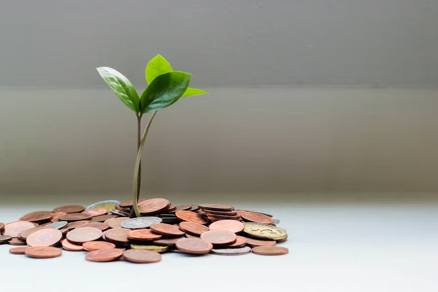 Mindful Money: How Reiki Can Transform Your Spending Habits – Let It Go ...